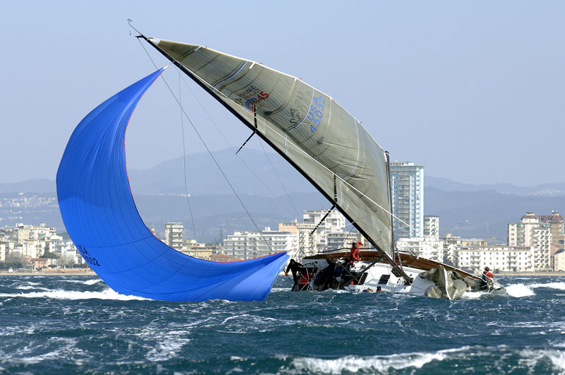 [Immagine: 2009312211923_swan a follonica.jpg]